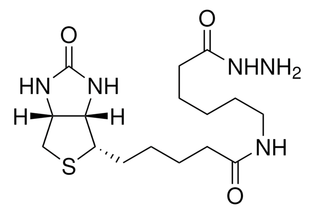 (+)-Biotinamidohexanoic acid hydrazide &#8805;90% (TLC), powder