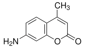 7-Amino-4-methylcoumarin 99%