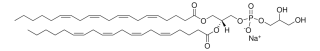 20:4 PG Avanti Polar Lipids 840490C