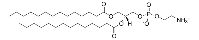 14:0 PE Avanti Polar Lipids