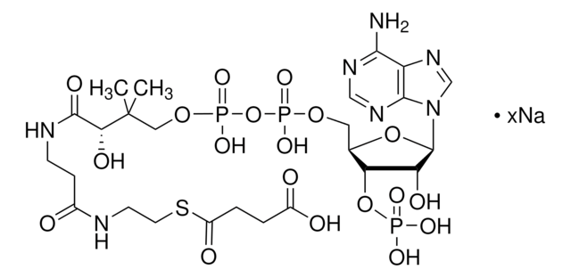 琥珀酰辅酶A 钠盐 &#8805;85%