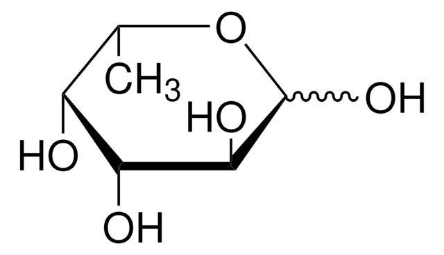 L-（-）-岩藻糖 &#8805;98% (GC)