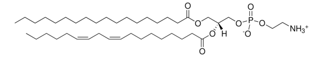 18:0-18:2 PE 1-stearoyl-2-linoleoyl-sn-glycero-3-phosphoethanolamine, chloroform