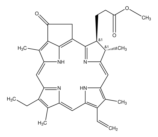 焦脱镁叶绿酸 a 甲酯 &#8805;93%