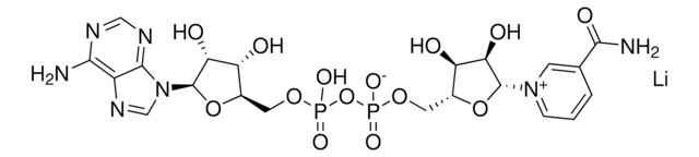 NAD+，锂盐 A major electron acceptor molecule in biological oxidations. Spectra (pH 7.0): 250/260 nm: 0.76-0.86; 280/260 nm: 0.18-0.28.
