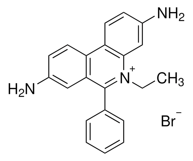 Ethidium bromide solution for fluorescence, ~1% in H2O