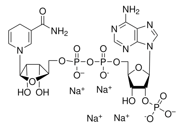 &#946;-烟酰胺腺嘌呤二核苷酸2&#8242;-磷酸，还原型 四钠盐 vial of 10&#160;mg, ~95%