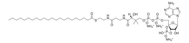 22：0辅酶A Avanti Polar Lipids 870722P, powder