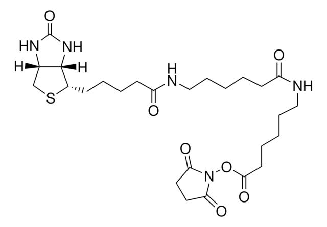 生物氨基己酰基-6-氨基己酸N-羟基琥珀酰亚胺酯 &#8805;95% (TLC), powder