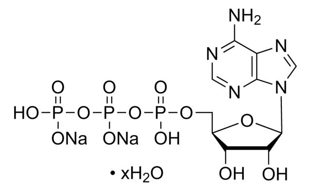 Adenosine 5&#8242;-triphosphate disodium salt hydrate BioXtra, &#8805;99% (HPLC), from microbial
