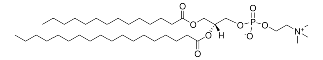 14:0-18:0 PC 1-myristoyl-2-stearoyl-sn-glycero-3-phosphocholine, powder