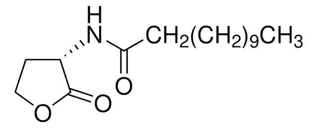 N-Dodecanoyl-L-homoserine lactone &#8805;96% (HPLC)