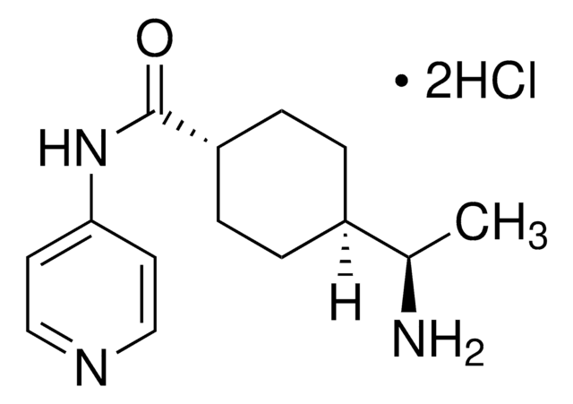 Y-27632 dihydrochloride &#8805;98% (HPLC)