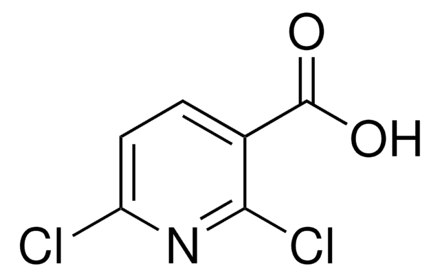 2,6-二氯吡啶-3-羧酸 97%