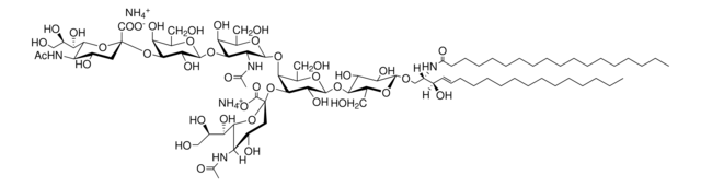 Ganglioside GD1a Avanti Polar Lipids 860055P, powder