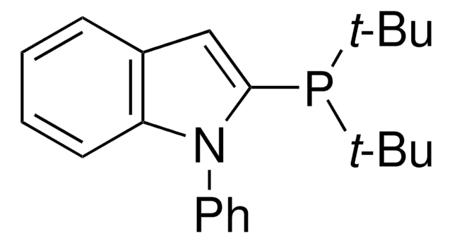 2-二叔丁基膦-1-苯基吲哚 95%