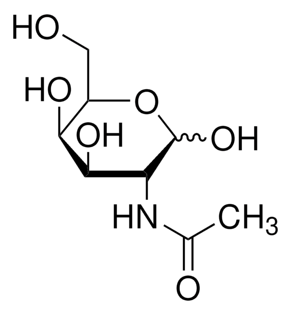 N-Acetyl-D-galactosamine ~98%