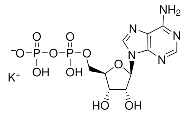 Adenosine 5&#8242;-diphosphate monopotassium salt dihydrate bacterial, &#8805;95%, powder