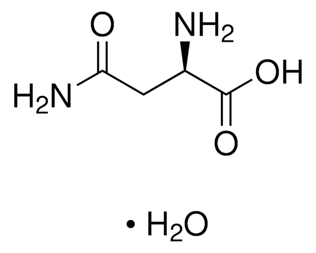 D-天冬酰胺 一水合物 &#8805;99% (TLC)