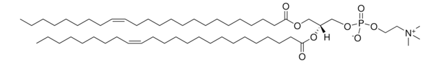 24:1 (Cis) PC 1,2-dinervonoyl-sn-glycero-3-phosphocholine, chloroform