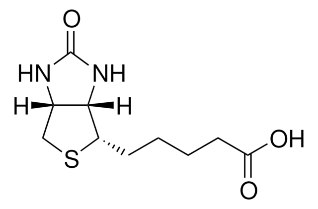 Biotin &#8805;99% (HPLC), lyophilized powder