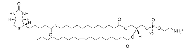 12:0 生物素-18:1 PE Avanti Research&#8482; - A Croda Brand, chloroform solution