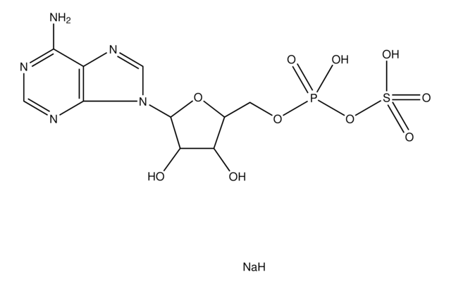Adenosine 5&#8242;-phosphosulfate sodium salt &#8805;85%