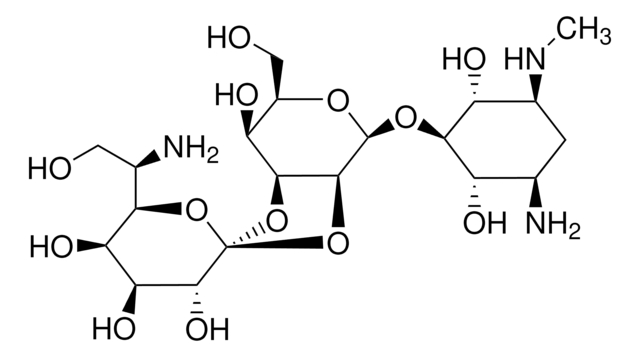 Hygromycin B from Streptomyces hygroscopicus Vetec&#8482;, reagent grade