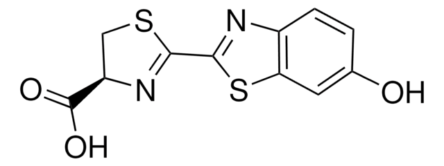 D -荧光素 synthetic