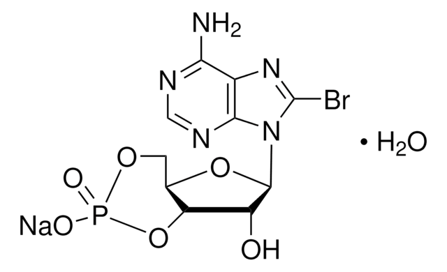 8-溴腺苷-3′,5′-环单磷酸 钠盐 一水合物 98%