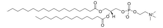 18:0-14:0 PC 1-stearoyl-2-myristoyl-sn-glycero-3-phosphocholine, chloroform
