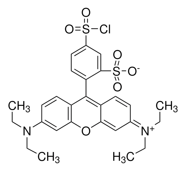 Sulforhodamine B acid chloride suitable for fluorescence, technical
