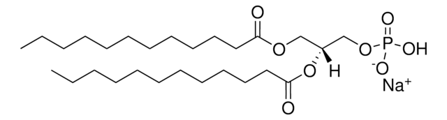 12:0 PA 1,2-dilauroyl-sn-glycero-3-phosphate (sodium salt), powder