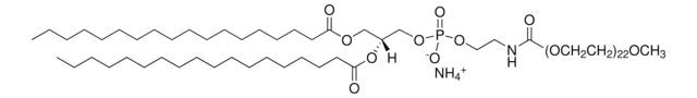 18:0 PEG1000 PE Avanti Polar Lipids 880720P, powder