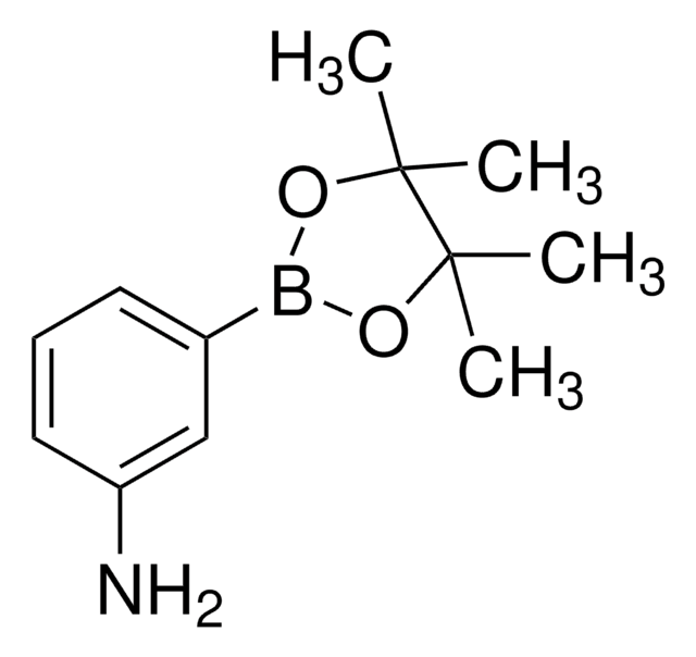 3-氨基苯硼酸频哪醇酯 97%