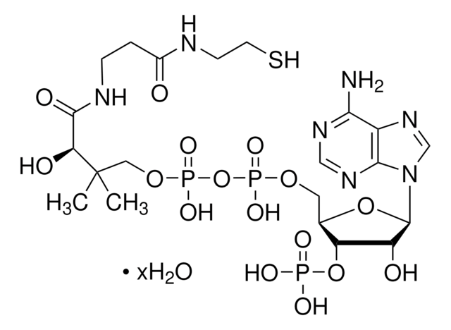 Coenzyme&#160;A hydrate &#8805;85% (UV, HPLC)