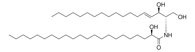 22:0(2R-OH) Ceramide Avanti Polar Lipids 860821P, powder