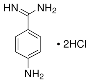 4-Aminobenzamidine dihydrochloride BioReagent, suitable for fluorescence, ≥99.0% (TLC)