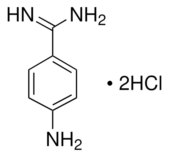4-Aminobenzamidine dihydrochloride 98%