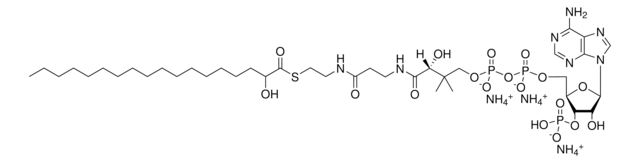 18:0(&#945;-OH) Coenzyme A Avanti Polar Lipids 870734P, powder