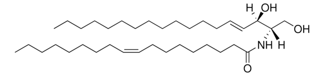 C18:1 Ceramide (d18:1/18:1(9Z)) Avanti Polar Lipids 860519P, powder