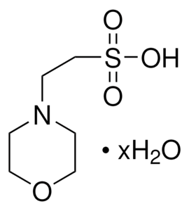 MES 水合物 ≥99.5% (titration)