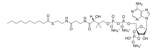 10:0 Coenzyme A Avanti Polar Lipids 870710P, powder