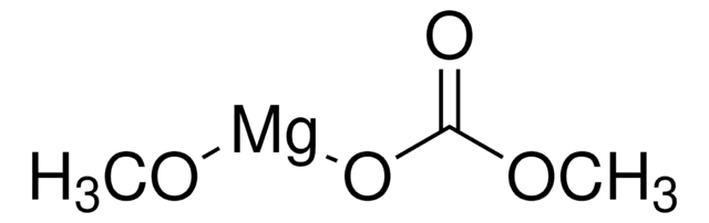 甲基镁碳酸酯 溶液 2.0&#160;M in DMF