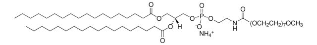 18:0 PEG350 PE Avanti Polar Lipids 880420P, powder