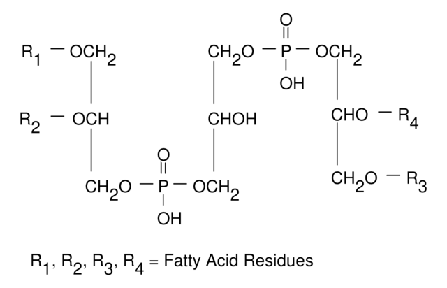 牛心脏来源心磷脂溶液 4.7-5.3&#160;mg/mL in ethanol, &#8805;97% (TLC), Suitable for manufacturing of diagnostic kits and reagents