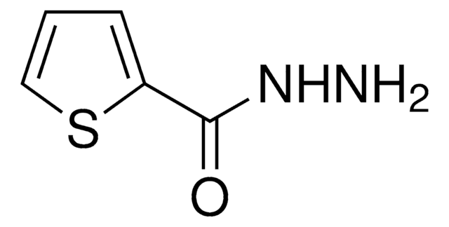 2-噻吩甲酸肼 &#8805;98%