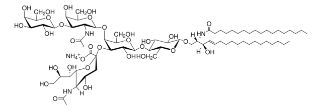 神经节苷脂 GM1（羊脑） Avanti Polar Lipids