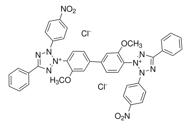 Nitrotetrazolium Blue chloride 90.0-110.0% (calc. on dry substance, T)
