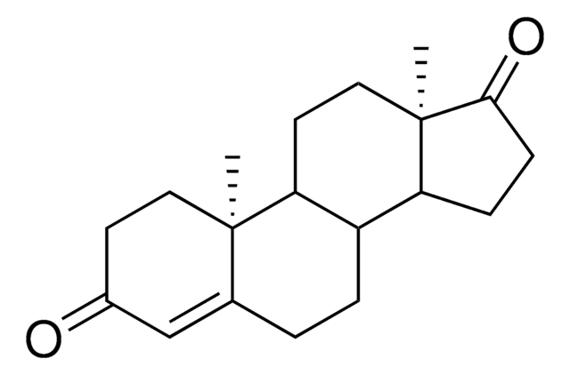 Ent-Androstenedione Avanti Polar Lipids